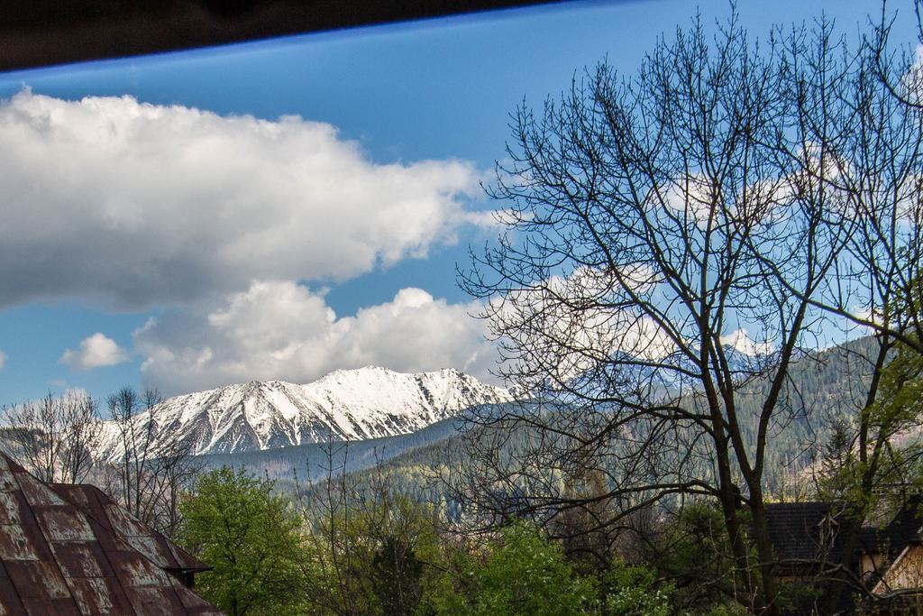 Apartament Owcze Runo Zakopane Eksteriør bilde